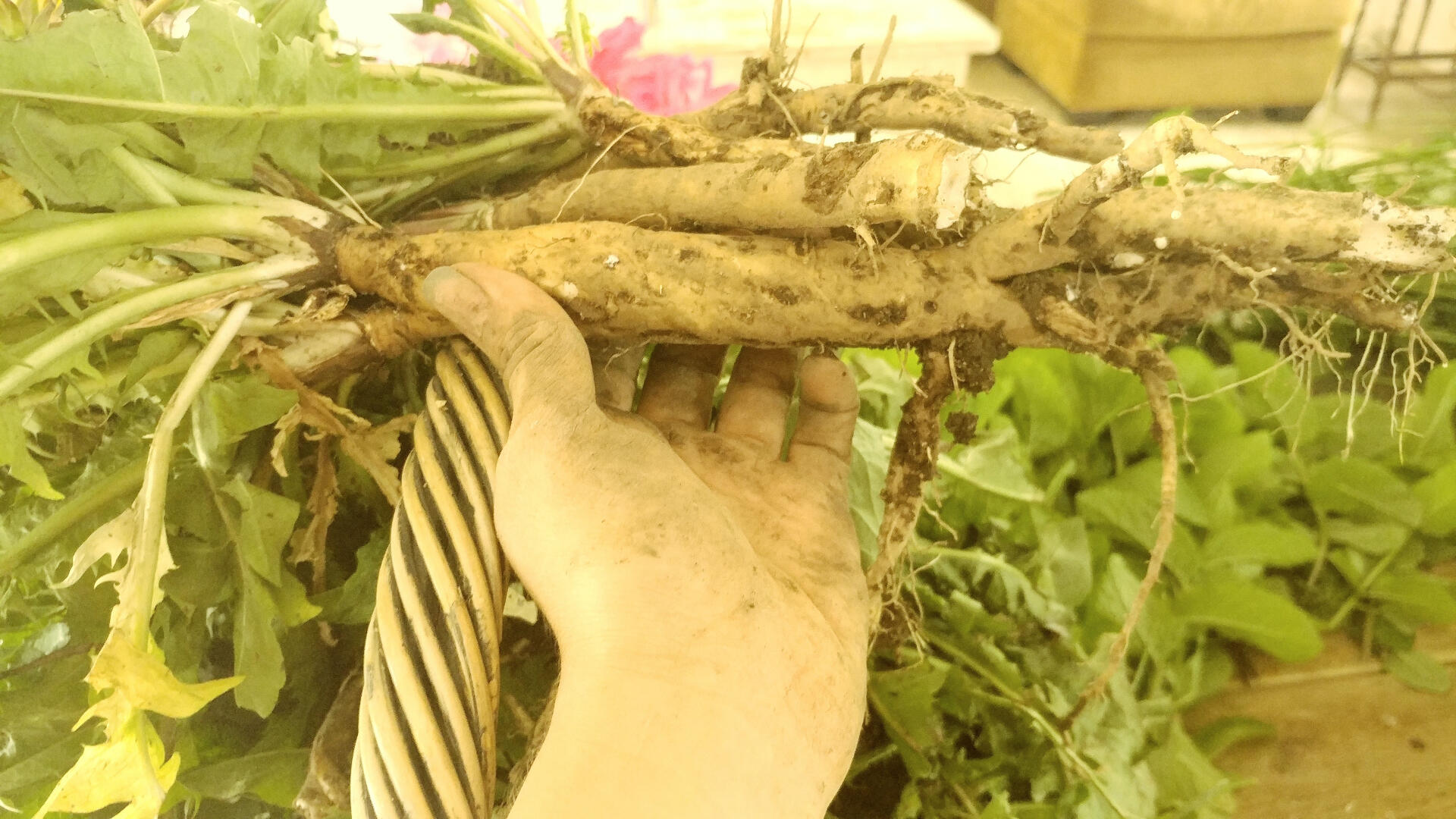 Community Safety Section