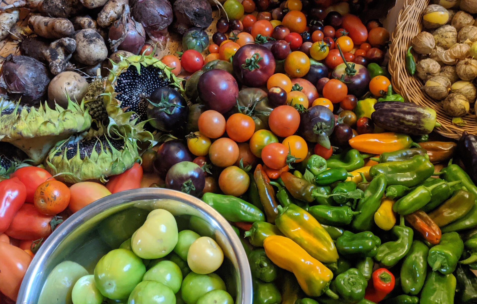 Community Safety Section